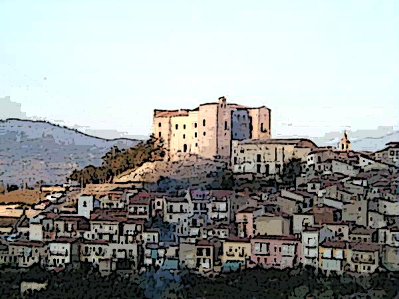 Quando il netturbino ? un asino