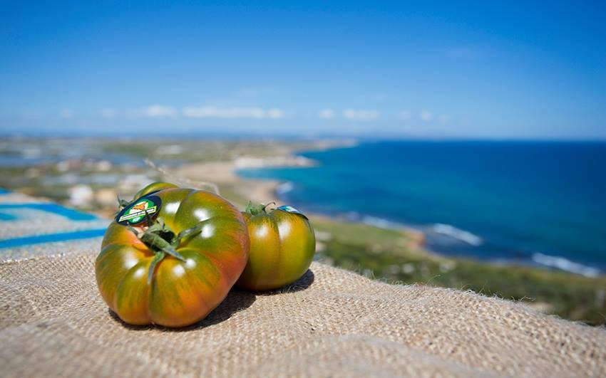 BUYER INTERNAZIONALI E STAMPA DI SETTORE A PACHINO PER STUDIARE LE QUALIT ECCEZIONALI POMODORO IGP
