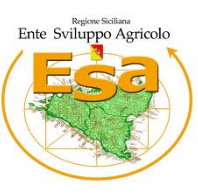 Concorso Regionale Morgantìnon degli Oli Extravergini dOliva Siciliani  IV edizione 2013