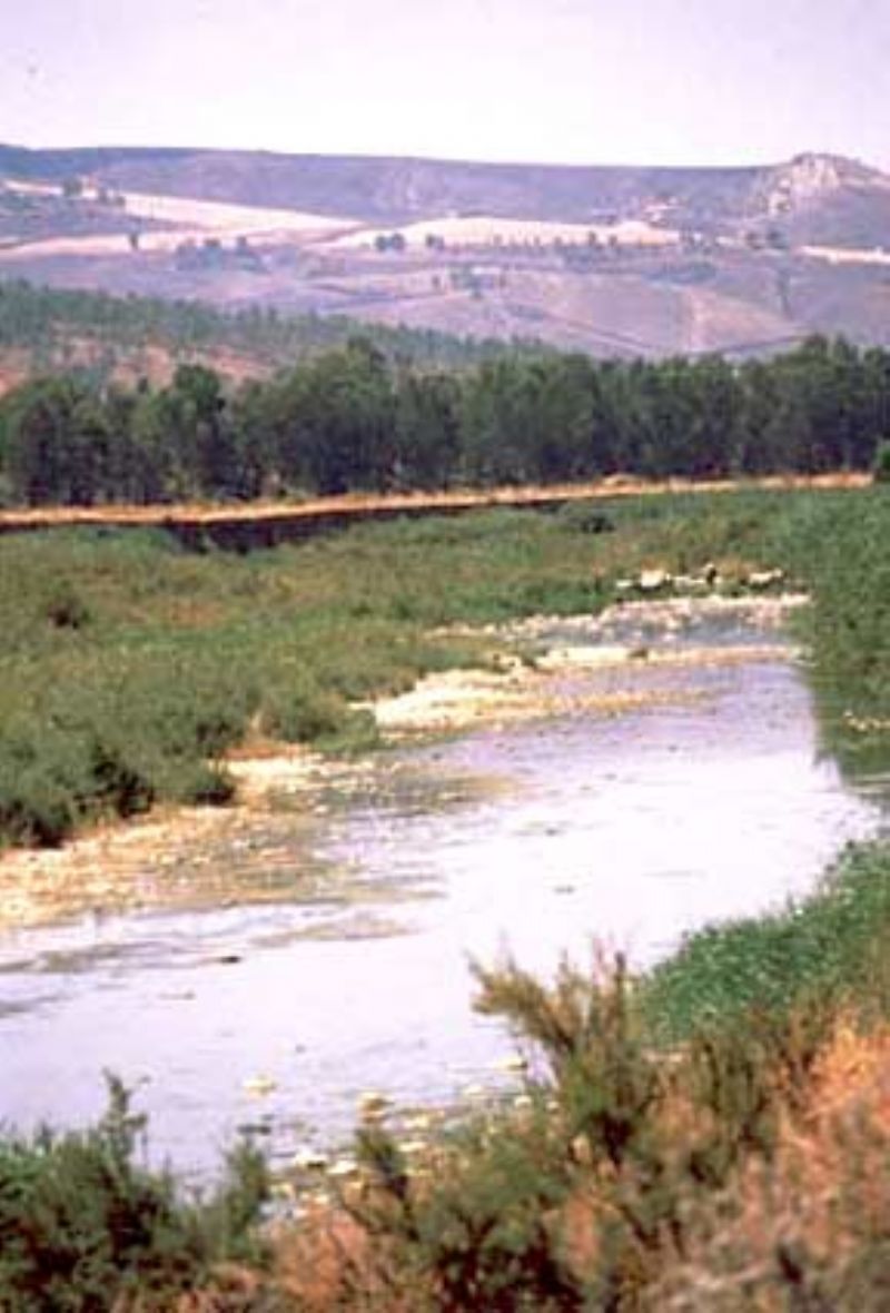 Cerda, trovato il corpo dell`agricoltore scomparso sabato pomeriggio : è annegato attraversando il fiume Imera  sul suo asino.
