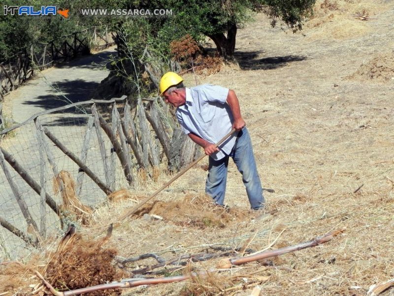 Forestali. Maggio (Pd): Progettualità e riorganizzazione del servizio per salvare i posti di lavoro