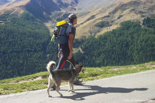 Giro d'Europa a piedi & Zampe