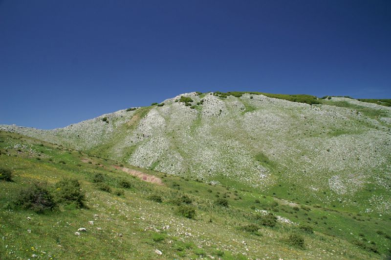 Gli itinerari naturalistici di SiciliAntica. Trekking sulle Madonie: Monte Cervi