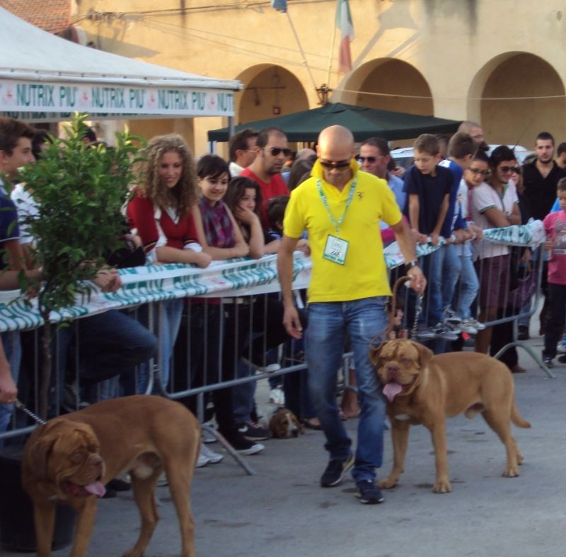 CAMMARATA (AG) - GRANDE SUCCESSO DELLA MOSTRA CINOFILA AL BORGO CALLEA
