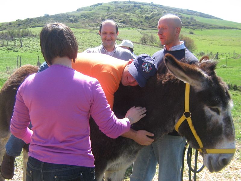 A GANGI CENTRO NAZIONALE DI FORMAZIONE PER LE ATTIVITA? DI MEDIAZIONE CON L?ASINO