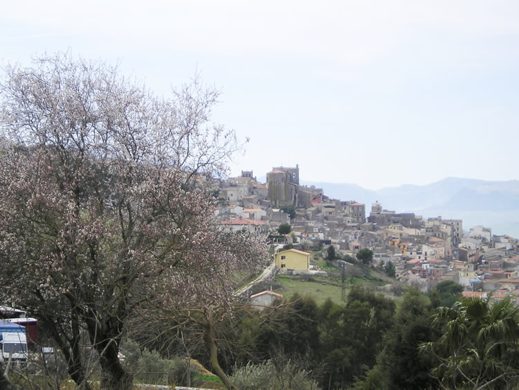 Alia. Finalmente ? arrivata la primavera