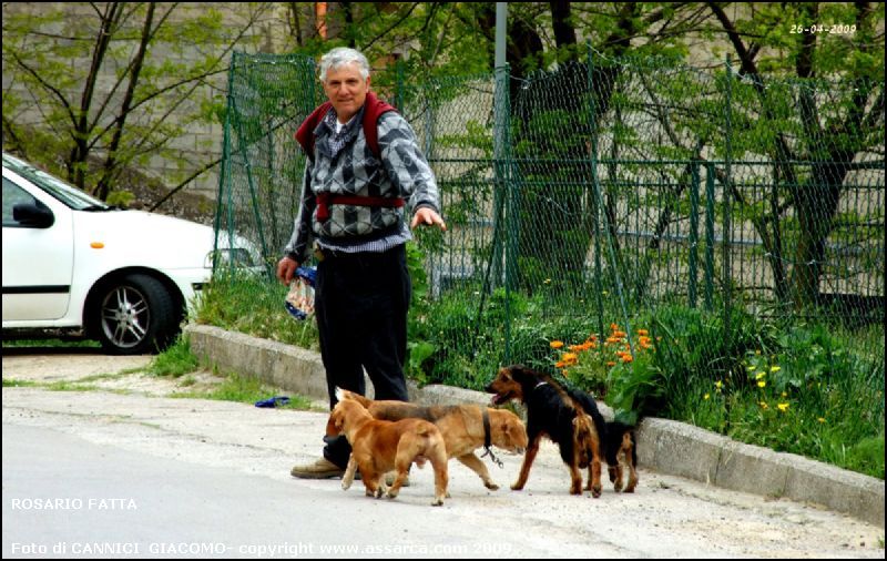 RUBATI DUE CAGNOLINI A ROSARIO FATTA