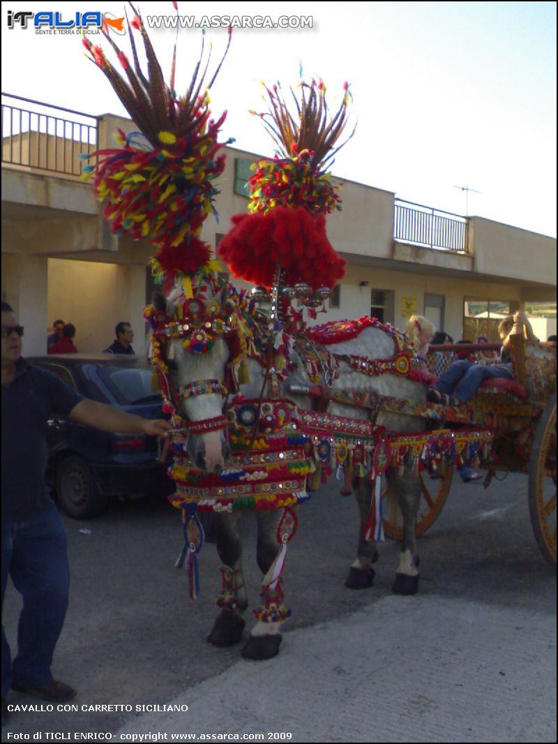 Cavallo Con carretto Siciliano