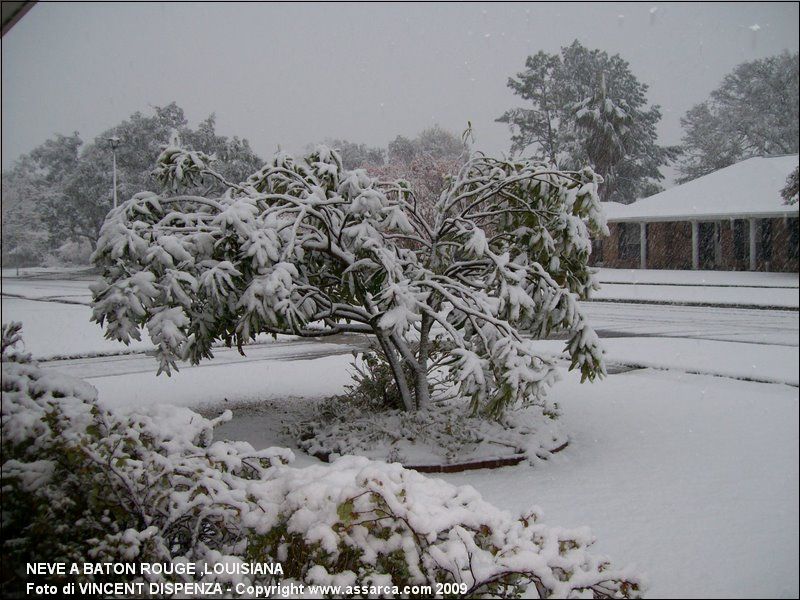 Neve a Baton Rouge ,Louisiana