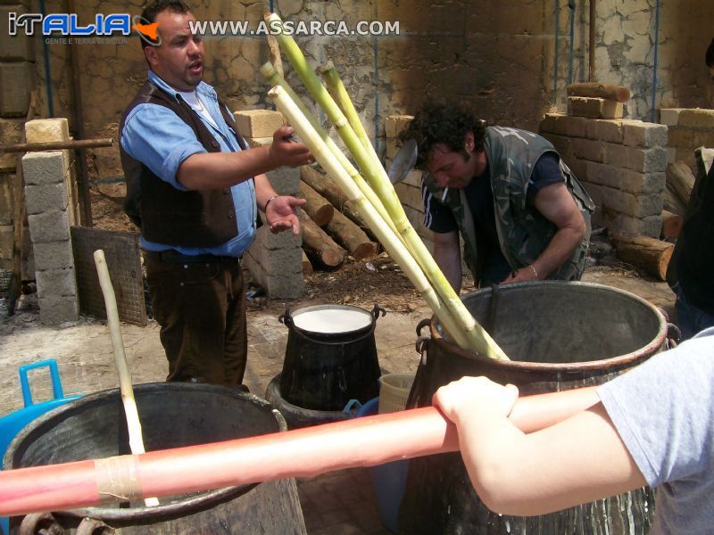 Sagra della Ricotta e del formaggio (25 aprile)