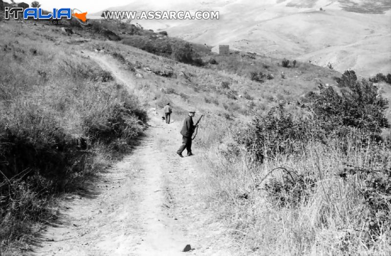 ALIA  TERRITORIO MONTAGNA.