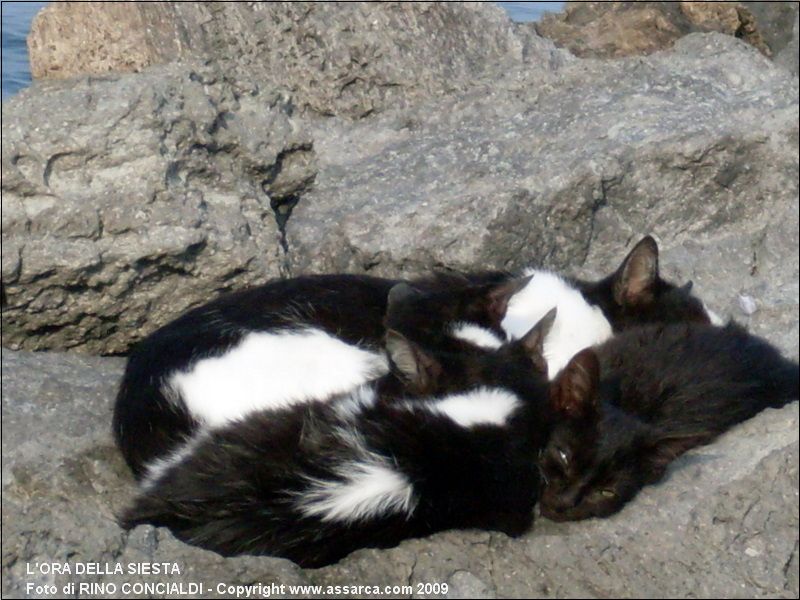 L`ora della siesta