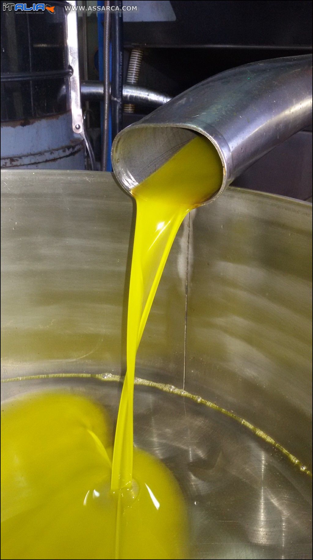 Il nostro olio