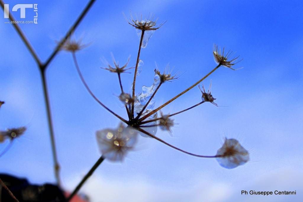 La natura ci emoziona