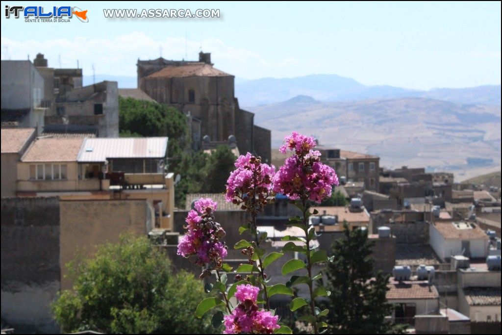 Scorcio panoramico