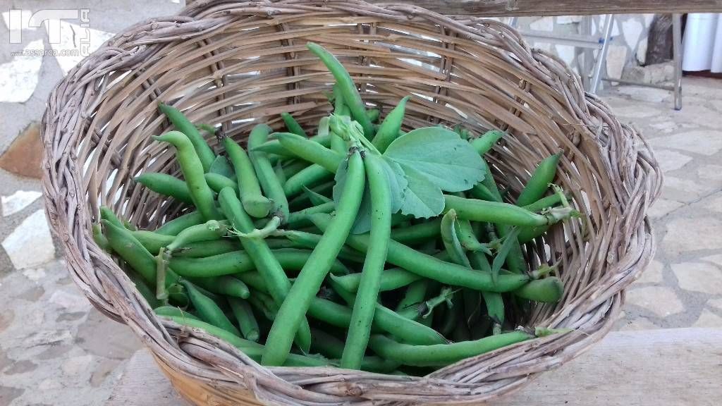 L amore per la terra da solo buoni frutti.