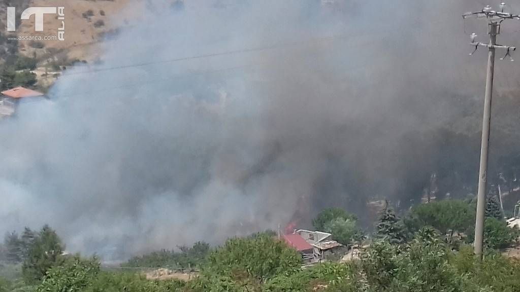 Incendio alla periferia di Alia