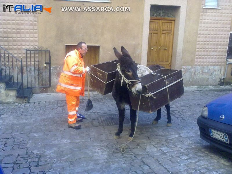 raccolta rifiuti...