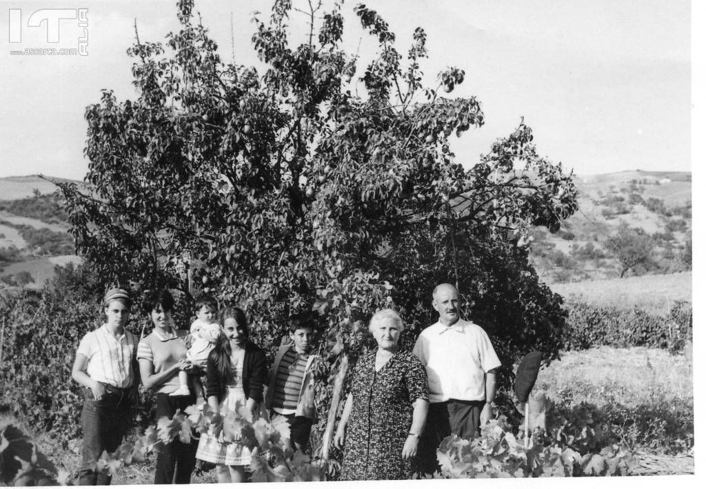 41 - Francesco Teriaca - La vendemmia anno 1968 Ricordi di Alia contrada Gurfa (da sx Teresa Teriaca - Rosalba Manetta - Cettina Sicilia - Antonella Teriaca - Franco Teriaca - Teresa Barcellona - Ciccio Teriaca)