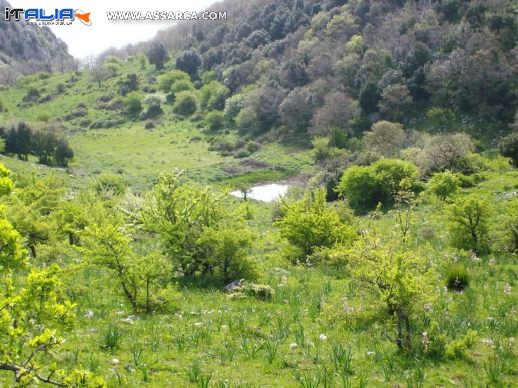 riserva naturale monte san calogero sciara