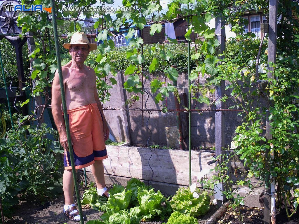 nel  mio  giardino