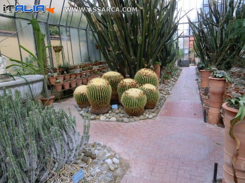 Orto Botanico del comune di Palermo