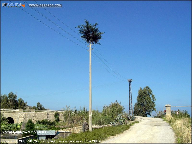 La natura non ha limiti