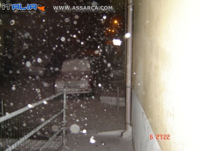 ALIA SOTTO LA NEVE