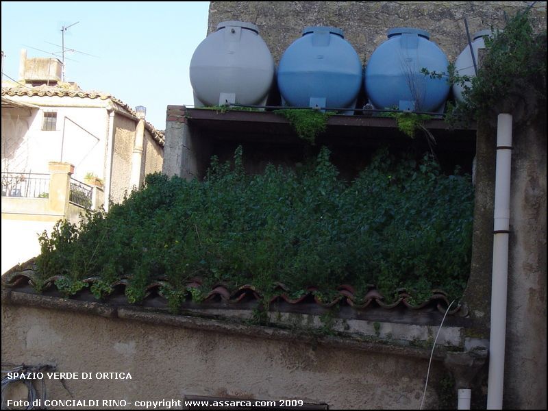 Spazio verde di ortica