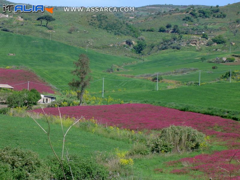 Territorio Aliese