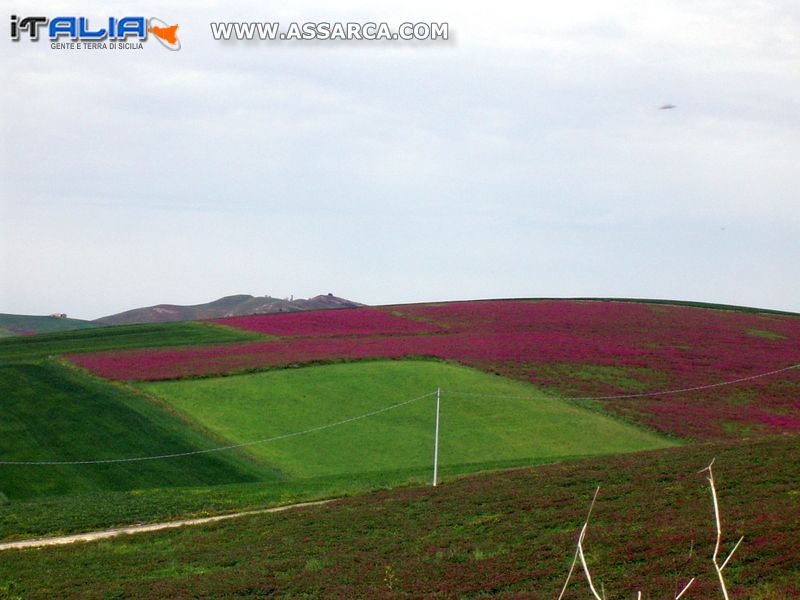 Territorio Aliese