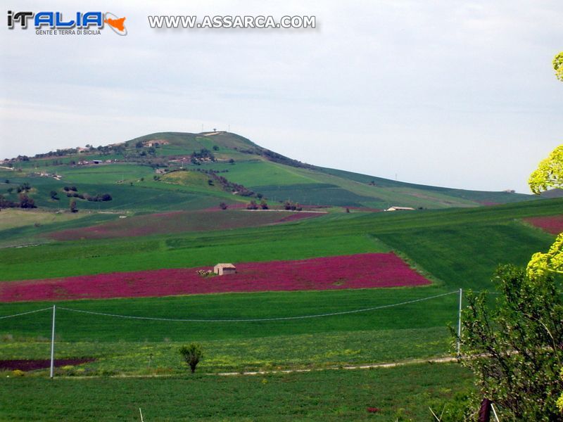 Territorio Aliese