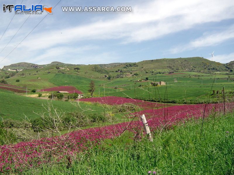 Territorio Aliese