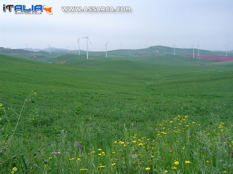 La natura ed i suoi colori