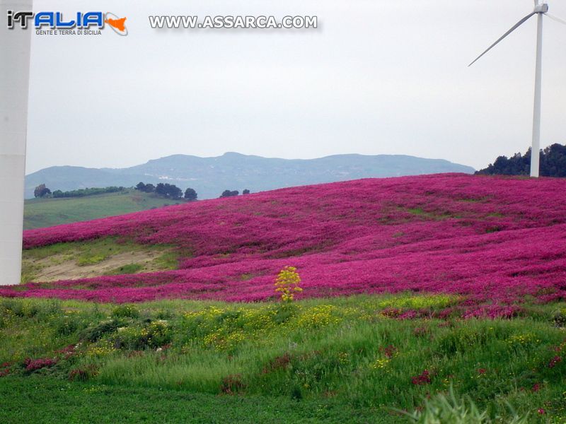 La natura ed i suoi colori