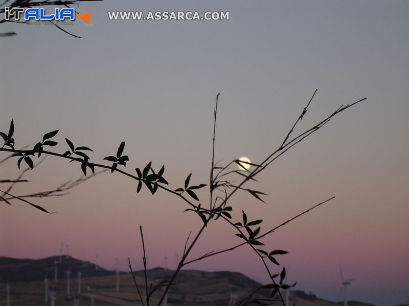 Tramonto di inizio  agosto