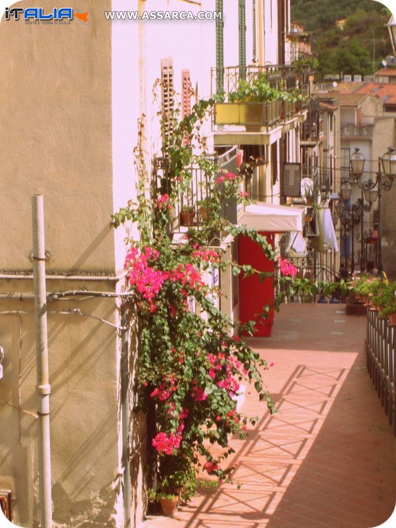Scorcio di Via Vittorio Emanuele in fiore