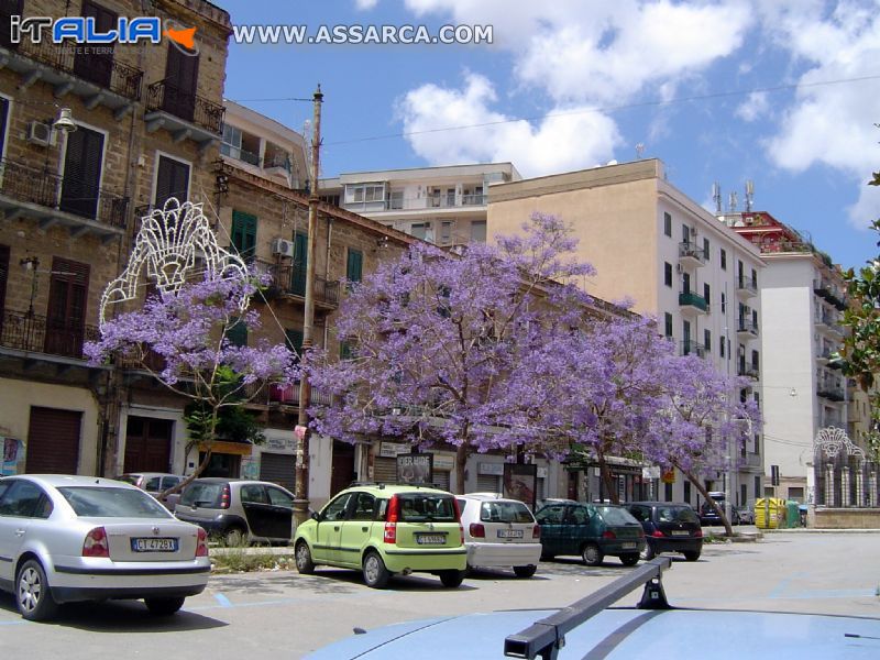 Alberi dai colori meravigliosi