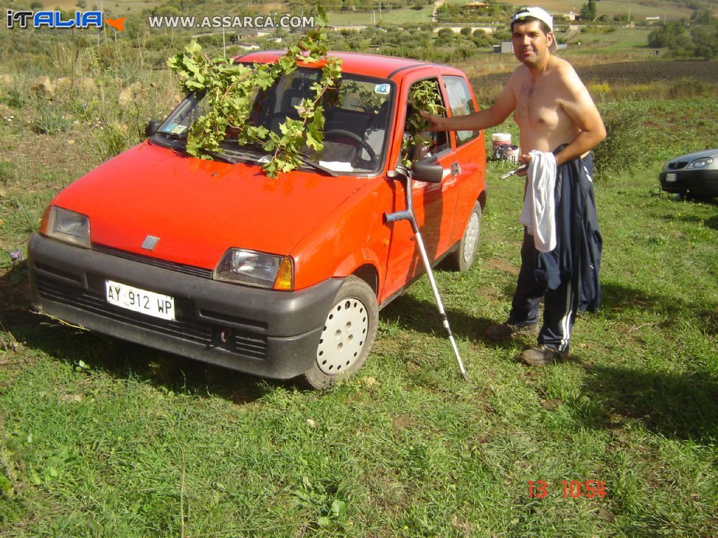 la vendemmia