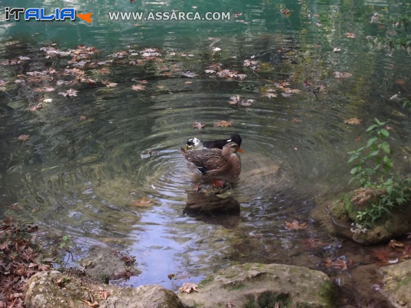 Nel mezzo della natura