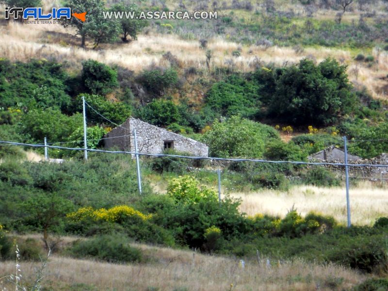 Casa nel bosco