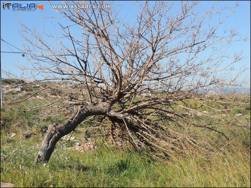 Il peso di una vita -  Santa Panagia.