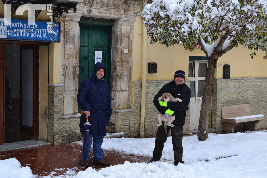 Calogero Di Piazza Antonino Di Bennardo e Trudy