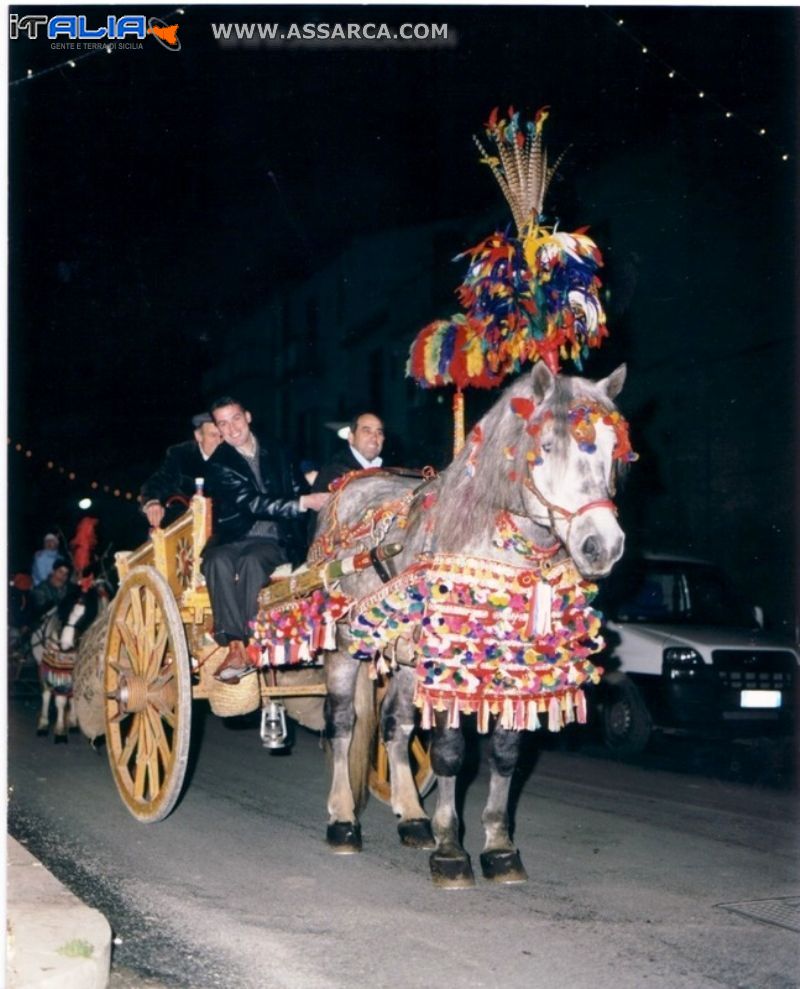 Cavallo bardato a festa