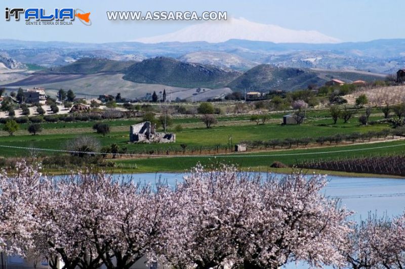 L`ETNA VISTA DA C.DA LAGO BARRACCHELLA