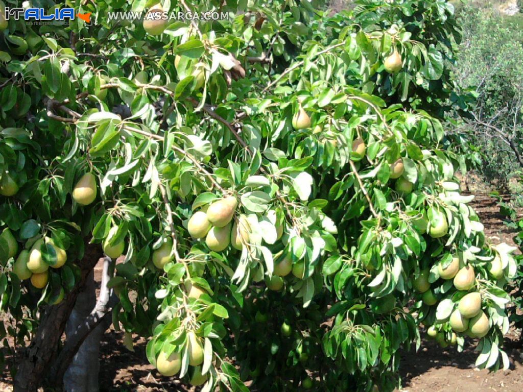 la natura offre tante belle cose come questa meraviglia!