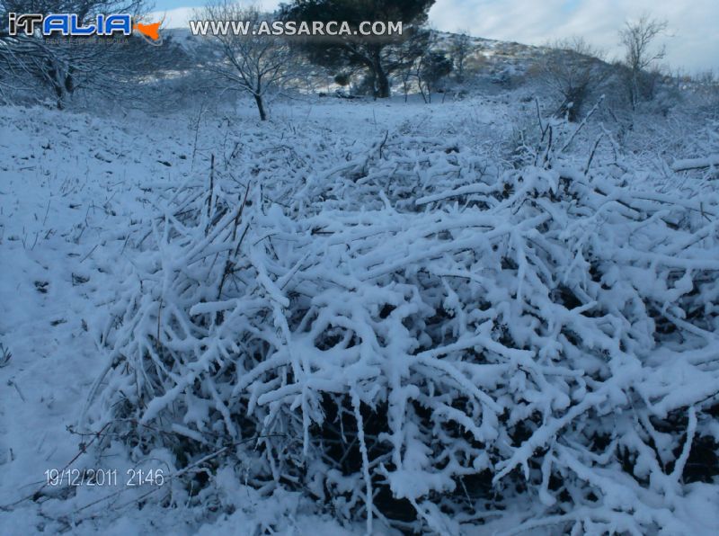 neve a pizzo garibaldi