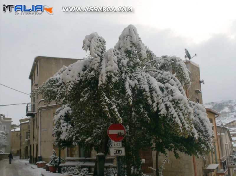 foto neve 8