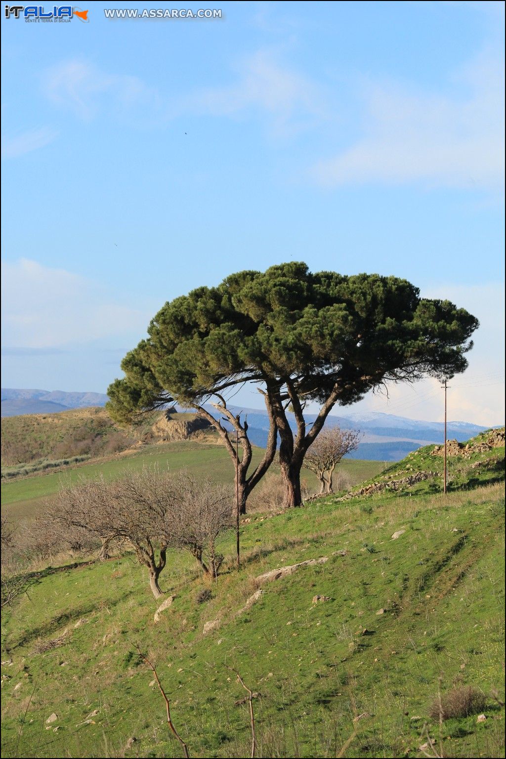 Paesaggi siciliani