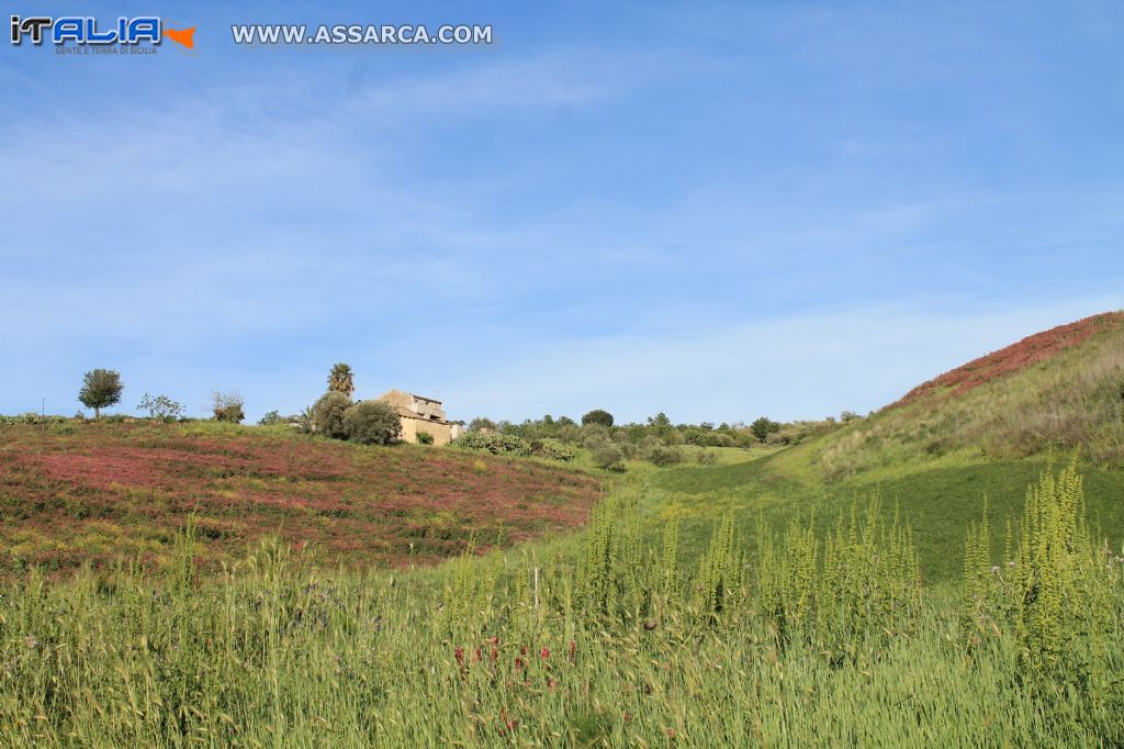 la casa in collina